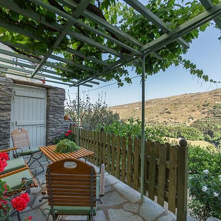 Victoria'S Summerhouse Андрос Екстер'єр фото